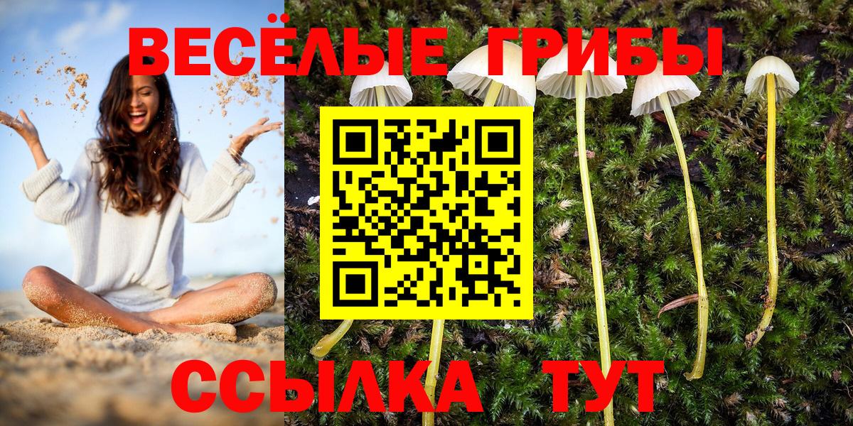 Псилоцибиновые грибы Cubensis  Галлюциногенные грибы Psilocybine cubensis  Вход с VPN  цены наркотик  Фурманов 