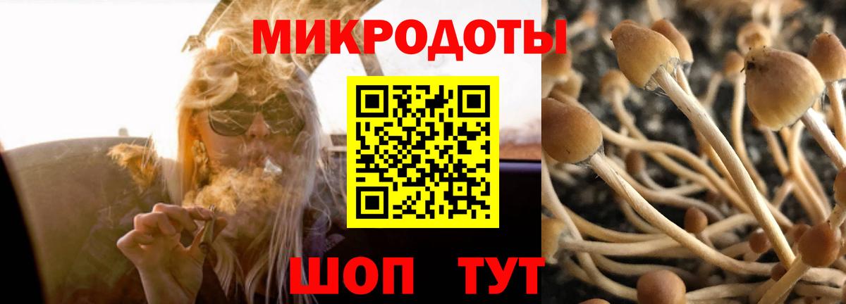 Галлюциногенные грибы прущие грибы Фурманов